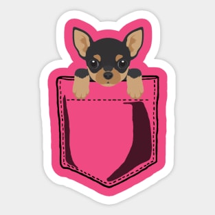 Pocket Chihuahua Sticker